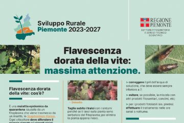 Lotta obbligatoria Flavescenza Dorata Vite
